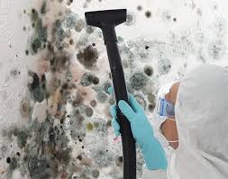 Best Mold Documentation for Insurance Claims  in Clarksburg, WV